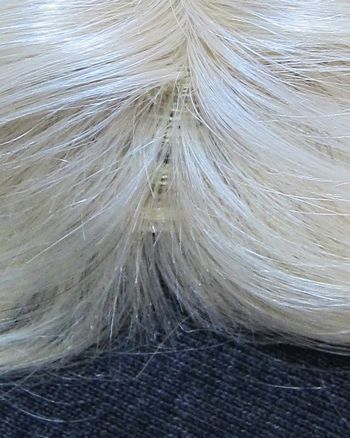 バレやすい分け目